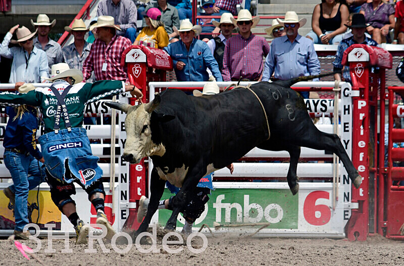 _DSC7097 - CFD Rodeo Performance - July 25th