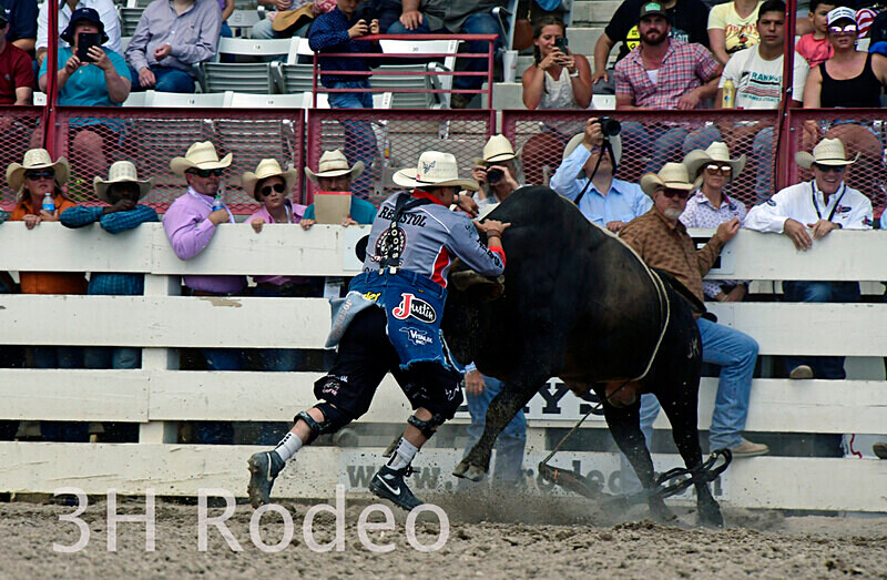 _DSC1781 - CFD Rodeo Performance - July 22nd