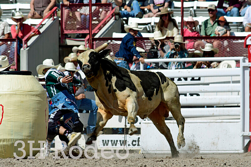 _DSC1201 - CFD Rodeo Performance - July 25th