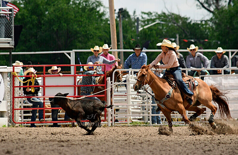 _DSC5643 - 2019 Cheyenne Frontier Days