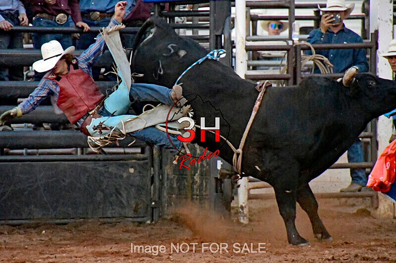 3HRodeo7-11-24_LJD_3HR2176_LJD - Mr. T Xtreme Bull Riding
