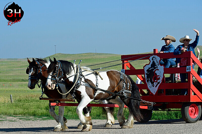 _DSC1708 - Bucking Horse Drive & Faces of CFD