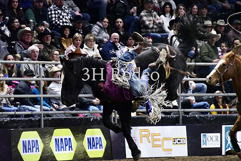 Reigns Provost_DSC2163 - Extreme Rodeo Challenge