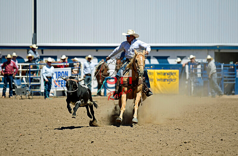 3HRodeo8-11-25_PRCASteer_05644_ - 2025 Colorado Stand Alone Steer Roping-Greeley