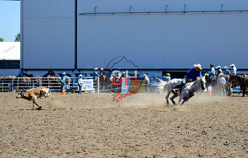 3HRodeo8-11-25_PRCASteer_02960_ - 2025 Colorado Stand Alone Steer Roping-Greeley