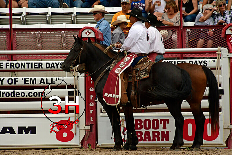 _DSC9125 - CFD Rodeo Performance - July 23rd