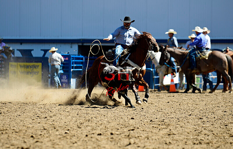 3HRodeo8-11-25_PRCASteer_02048_ - 2025 Colorado Stand Alone Steer Roping-Greeley