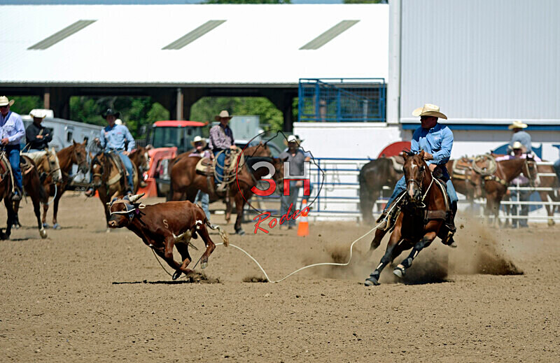 3HRodeo8-11-25_PRCASteer_06159_ - 2025 Colorado Stand Alone Steer Roping-Greeley