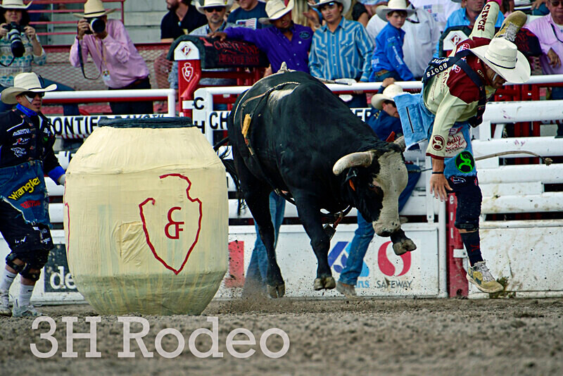 _DSC8677 - CFD Rodeo Performance - July 27th