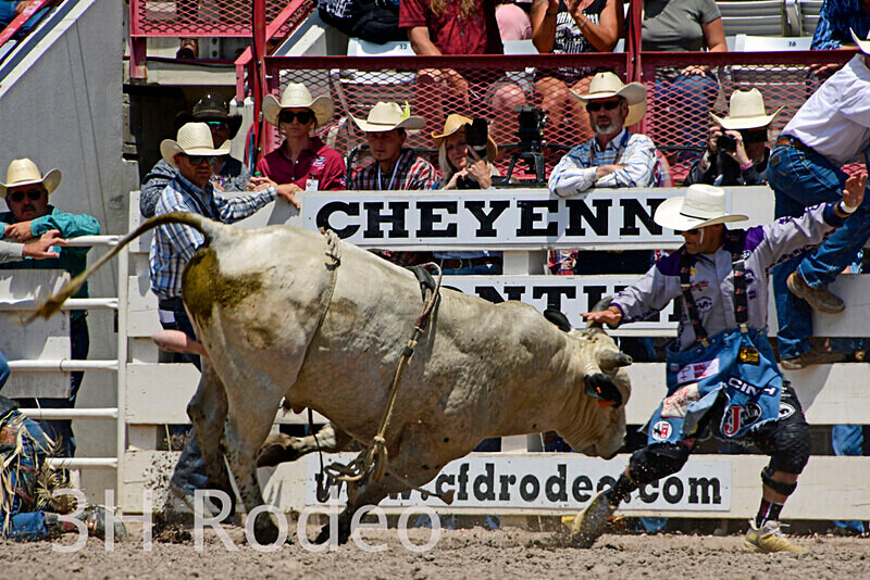 _DSC4428 - CFD Rodeo Performance - July 23rd