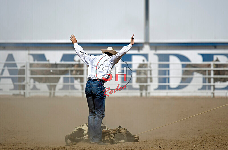 3HRodeo8-11-25_PRCASteer_07547_ - 2025 Colorado Stand Alone Steer Roping-Greeley
