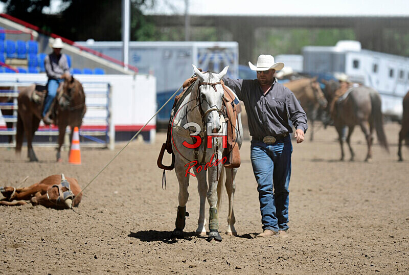 3HRodeo8-11-25_PRCASteer_04348_ - 2025 Colorado Stand Alone Steer Roping-Greeley