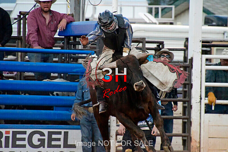 3HRodeo7-11-24_LJD_3HR2319_LJD - Mr. T Xtreme Bull Riding