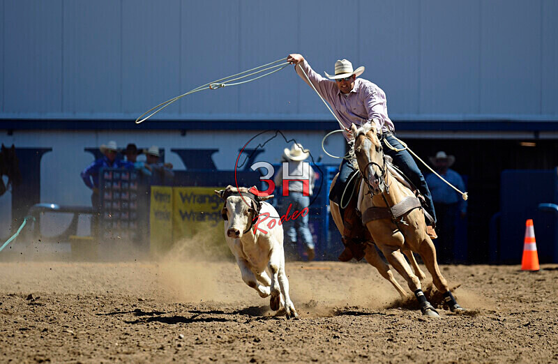 3HRodeo8-11-25_PRCASteer_01296_ - 2025 Colorado Stand Alone Steer Roping-Greeley