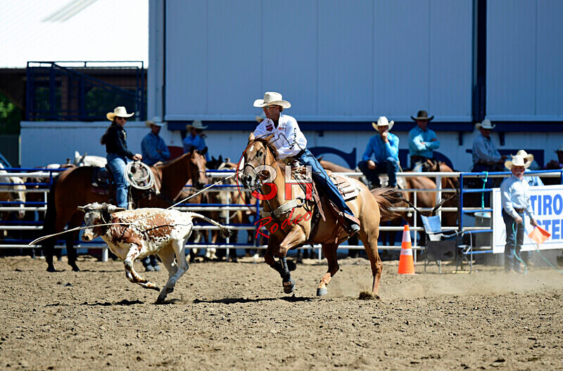3HRodeo8-11-25_PRCASteer_02584_ - 2025 Colorado Stand Alone Steer Roping-Greeley