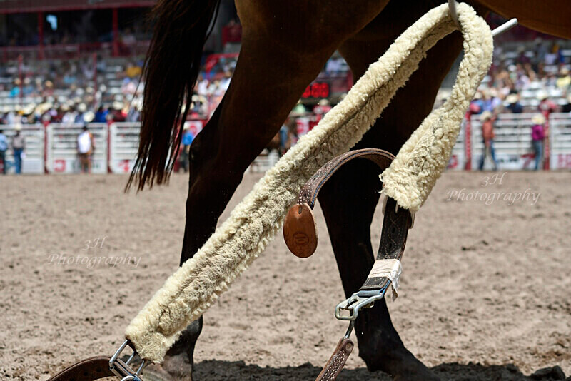 _DSC7735 - 2019 Cheyenne Frontier Days