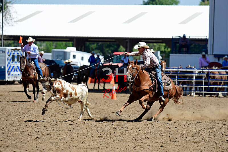 3HRodeo8-11-25_PRCASteer_03124_ - 2025 Colorado Stand Alone Steer Roping-Greeley