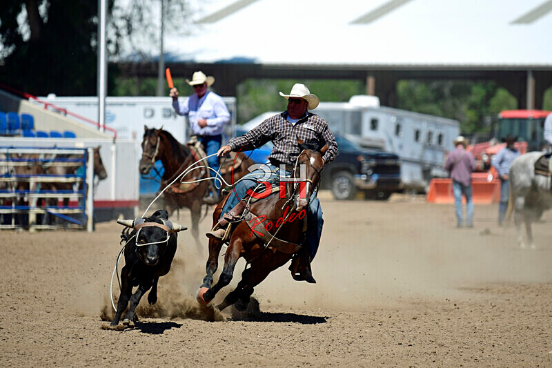 3HRodeo8-11-25_PRCASteer_06258_ - 2025 Colorado Stand Alone Steer Roping-Greeley