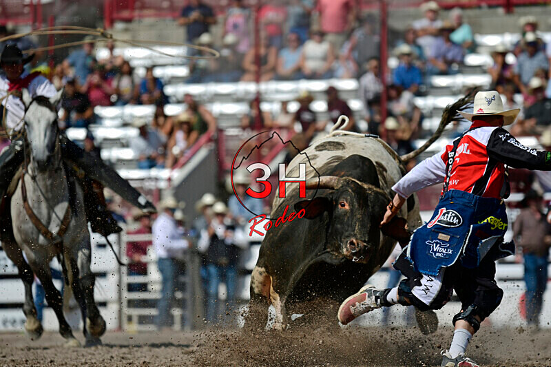 3HRodeo7-20-24_CFD_3HR7854_ - July 20 Rodeo Performance