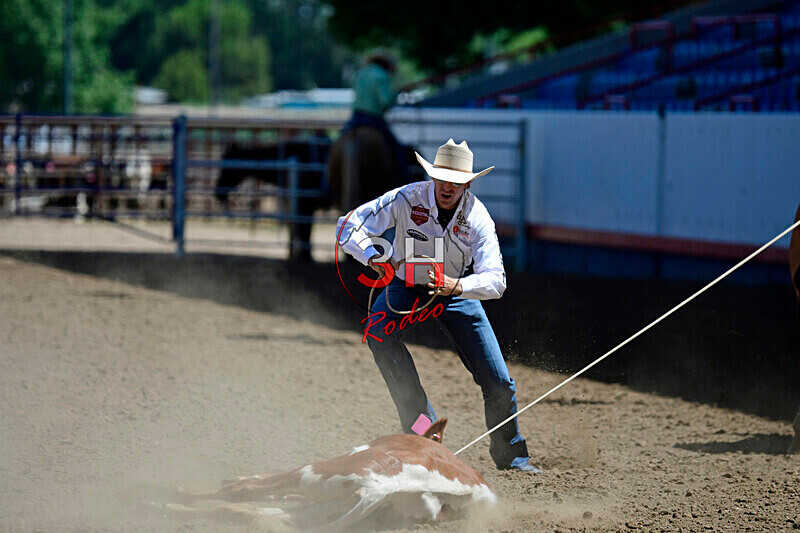 3HRodeo8-11-25_PRCASteer_03945_ - 2025 Colorado Stand Alone Steer Roping-Greeley