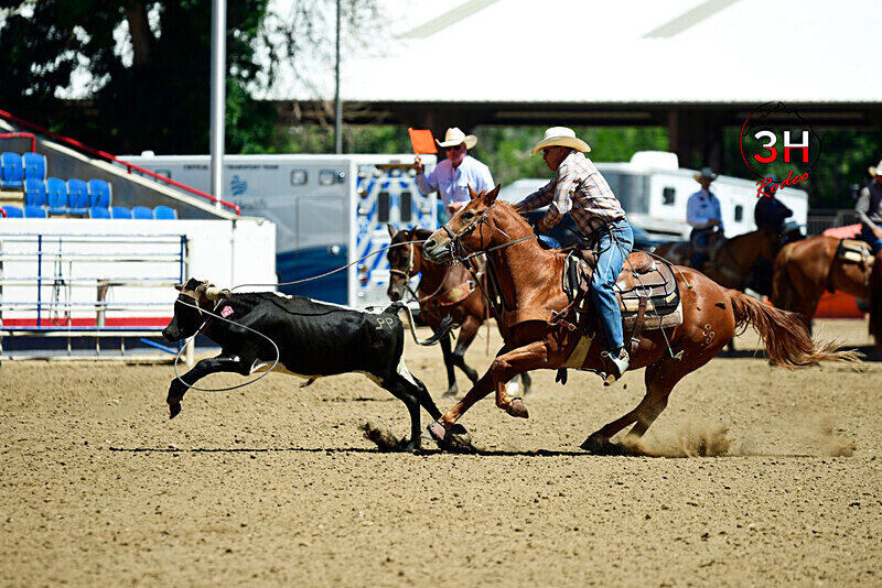 3HRodeo8-11-25_PRCASteer_03471_ - 2025 Colorado Stand Alone Steer Roping-Greeley