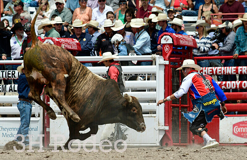 _DSC7311 - CFD Rodeo Performance - July 25th
