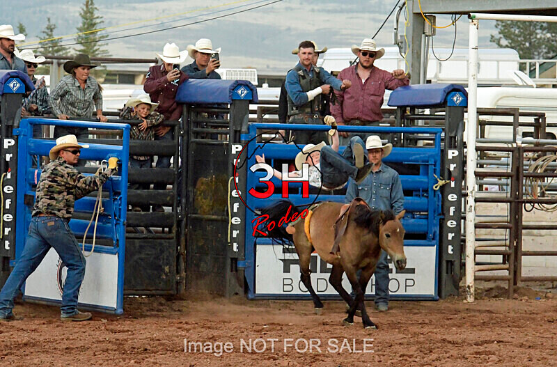 3HRodeo7-11-24_LJD_3HR1905_LJD - Mr. T Xtreme Bull Riding