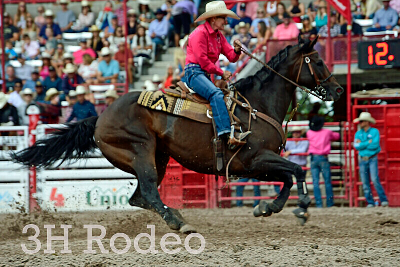 _DSC7740 - CFD Rodeo Performance - July 27th