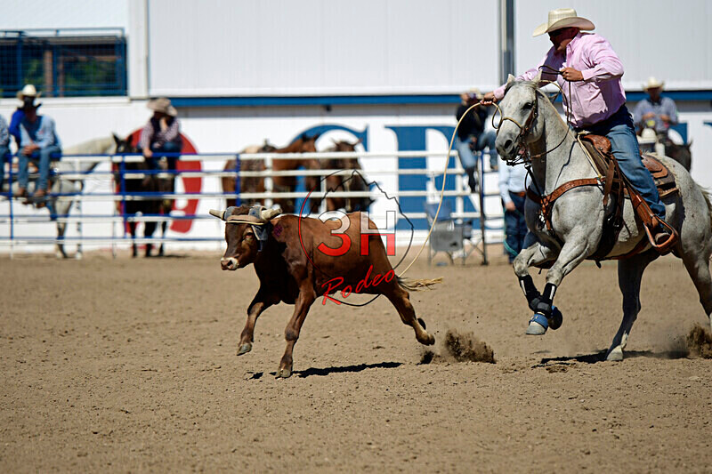 3HRodeo8-11-25_PRCASteer_07956_CTownsend - 2025 Colorado Stand Alone Steer Roping-Greeley