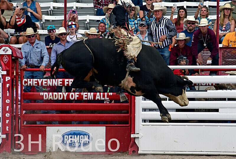 _DSC1997 - CFD Rodeo Performance - July 22nd