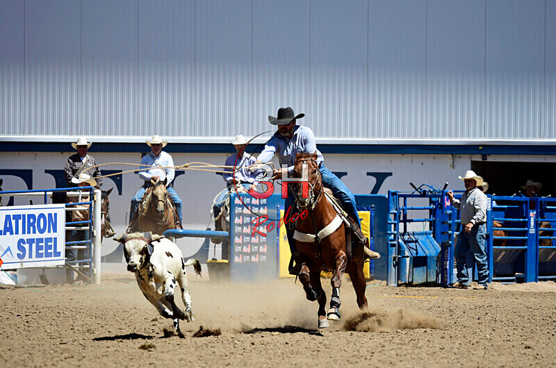 3HRodeo8-11-25_PRCASteer_04365_ - 2025 Colorado Stand Alone Steer Roping-Greeley