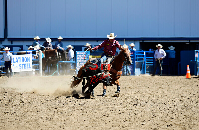 3HRodeo8-11-25_PRCASteer_03186_ - 2025 Colorado Stand Alone Steer Roping-Greeley