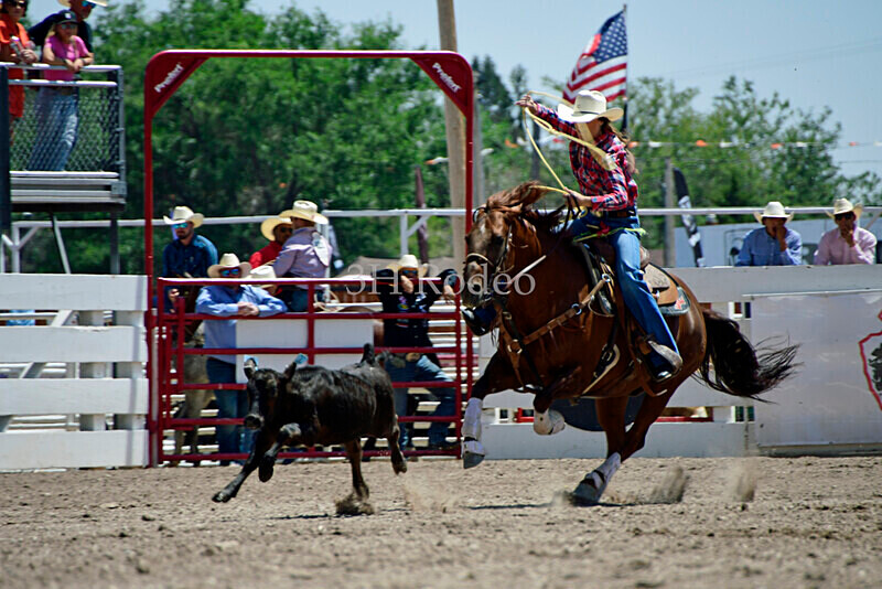 _DSC4867 - CFD Rodeo Performance - July 29th