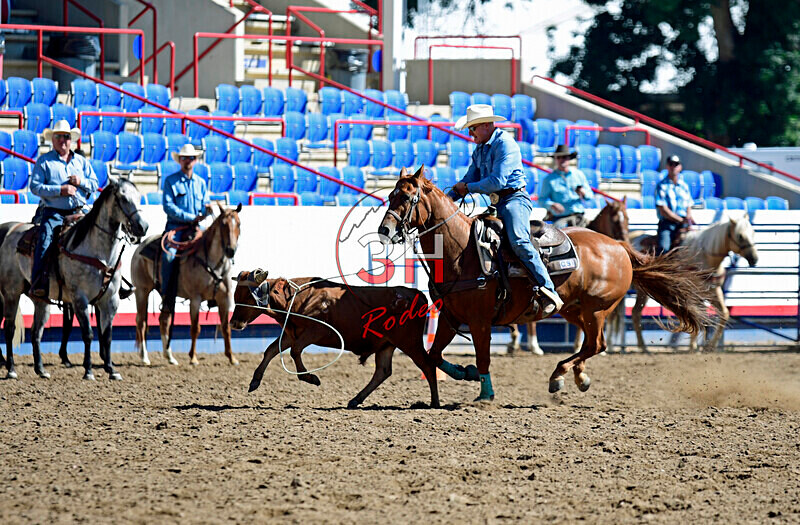 3HRodeo8-11-25_PRCASteer_00172_ - 2025 Colorado Stand Alone Steer Roping-Greeley