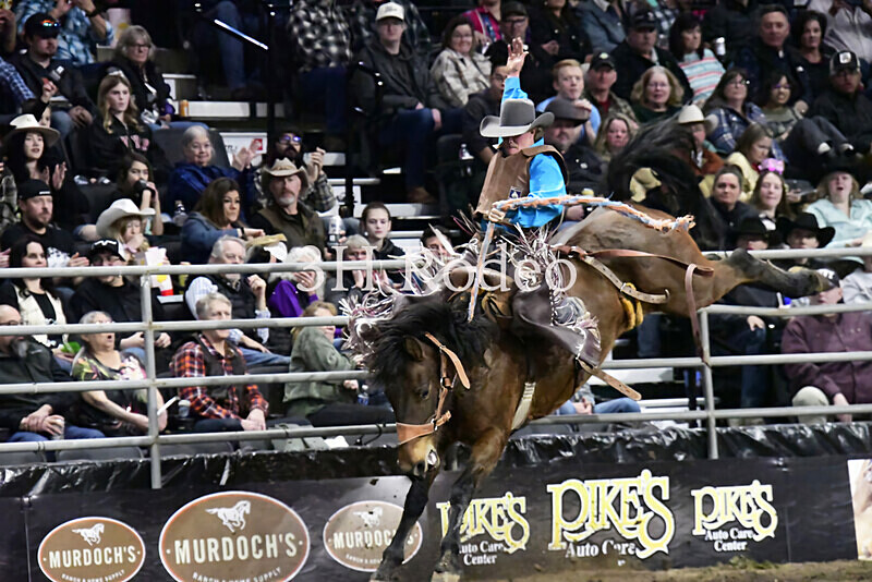 _DSC3020 - Extreme Rodeo Challenge