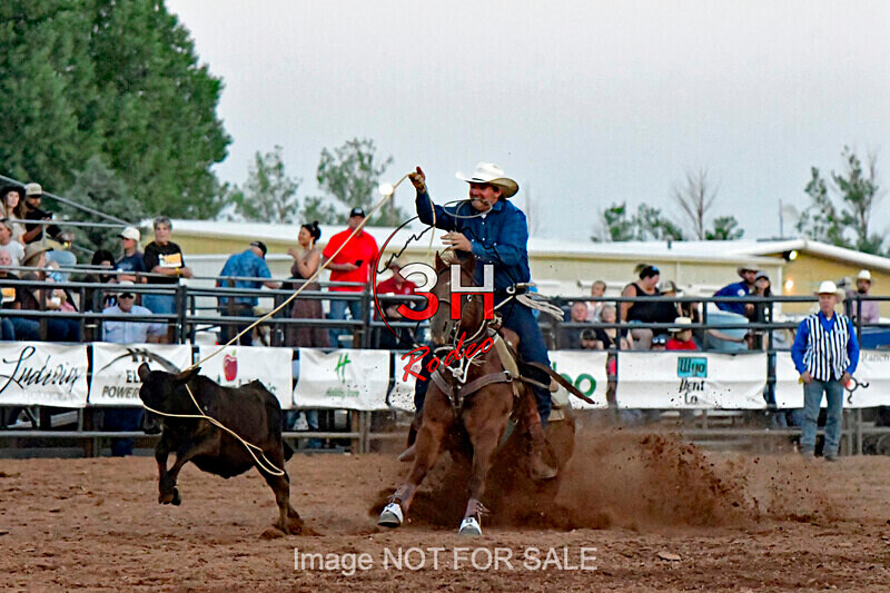 3HRodeo7-12-24_LJD_3HR4621_LJD - PRCA Rodeo - July 12, 2024