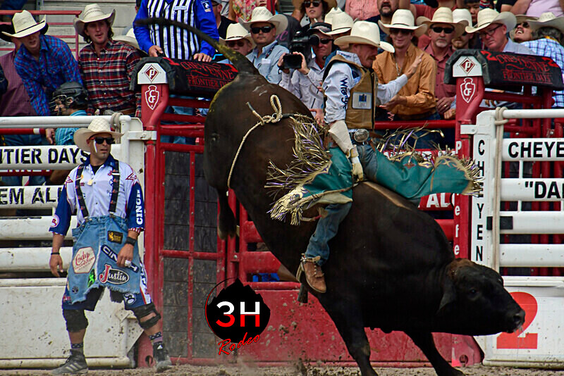 _DSC8436 - CFD Rodeo Performance - July 25th