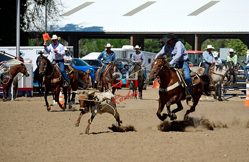 3HRodeo8-11-25_PRCASteer_07185_ - 2025 Colorado Stand Alone Steer Roping-Greeley