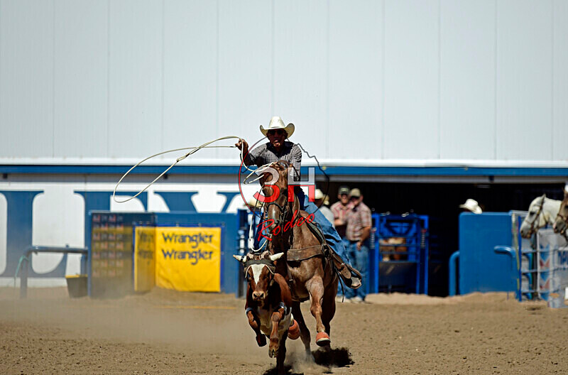 3HRodeo8-11-25_PRCASteer_07680_ - 2025 Colorado Stand Alone Steer Roping-Greeley