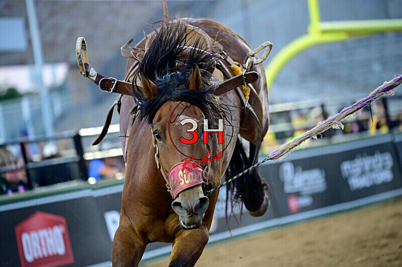 3HRodeo_PBR_All-Star_JUL_2026_0751 - 2026 All-Star College Rodeo
