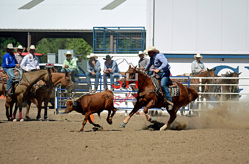 3HRodeo8-11-25_PRCASteer_07416_ - 2025 Colorado Stand Alone Steer Roping-Greeley