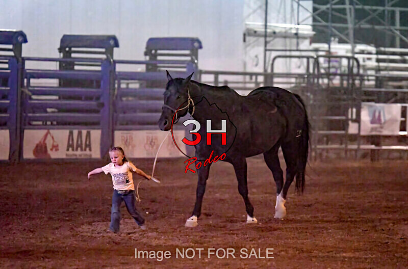 3HRodeo7-12-24_LJD_3HR5358_LJD - PRCA Rodeo - July 12, 2024