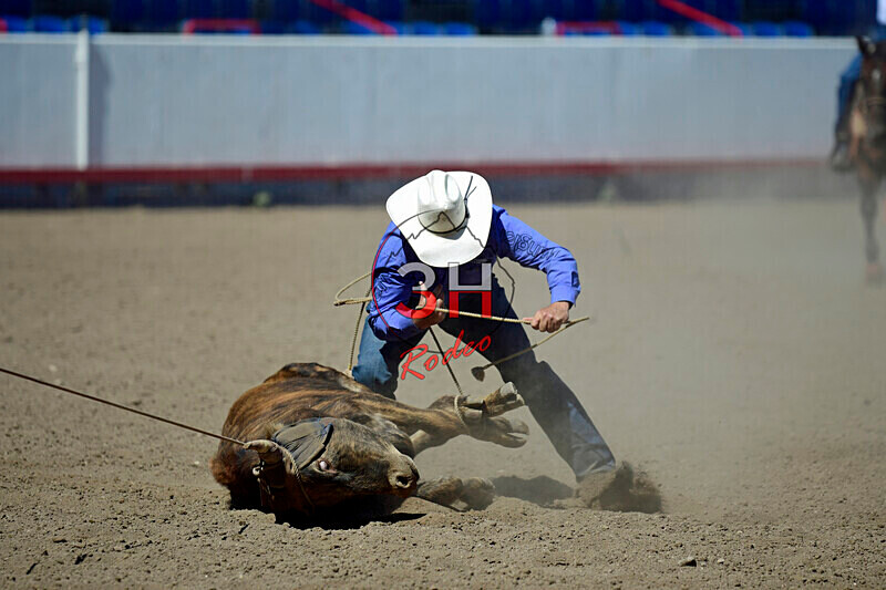 3HRodeo8-11-25_PRCASteer_07165_ - 2025 Colorado Stand Alone Steer Roping-Greeley
