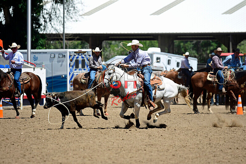 3HRodeo8-11-25_PRCASteer_04416_ - 2025 Colorado Stand Alone Steer Roping-Greeley