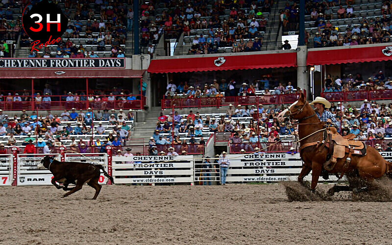 _DSC8870 - CFD Rodeo Performance - July 25th