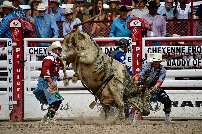 _DSC9887 - CFD Rodeo Performance - July 29th