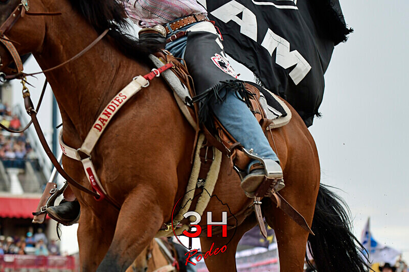 3HRodeo7-27-24_CFD_3HR-CFD- 1943_ - 2024 CFD Dandies