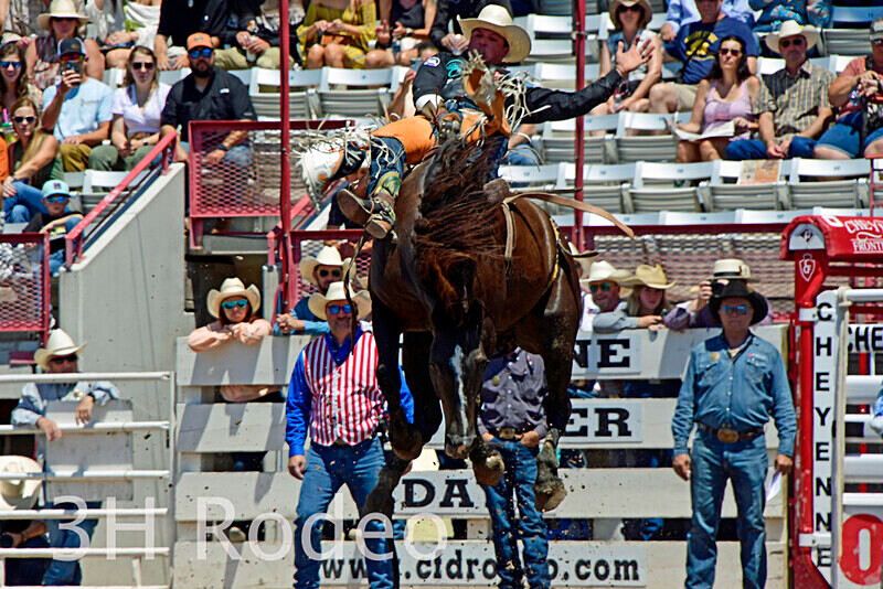 _DSC5976 - CFD Rodeo Performance - July 22nd