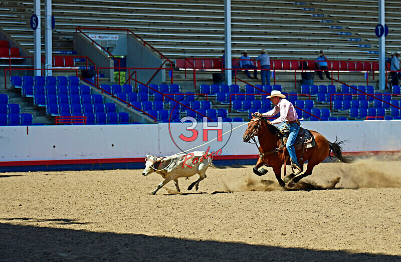 3HRodeo8-11-25_PRCASteer_07883_ - 2025 Colorado Stand Alone Steer Roping-Greeley