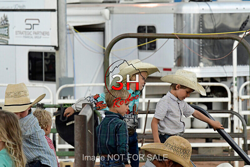 3HRodeo7-10-24_3HR0057_LJD - Jubilee Days Junior Bull Riding